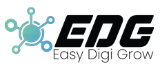 Best Digital Marketing Company In Delhi, India