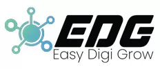 Easy Digi Grow - Digital Marketing Services Provider In Delhi NCR - India